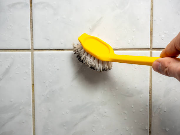Best Mold Removal Near Me  in Kahaluu Keauhou, HI