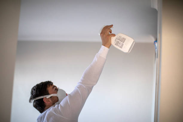 Trusted Kahaluu Keauhou, HI Mold Removal Experts