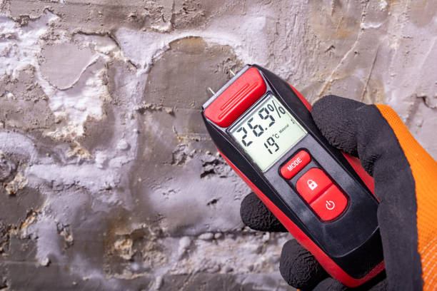 Best Commercial Mold Removal  in Kahaluu Keauhou, HI