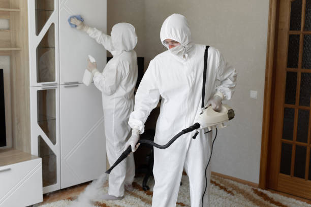 Best Certified Mold Removal  in Kahaluu Keauhou, HI