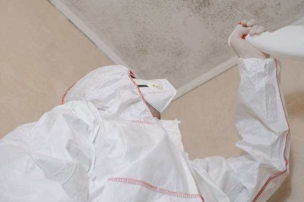 Best Office Mold Removal Services  in Kahaluu Keauhou, HI