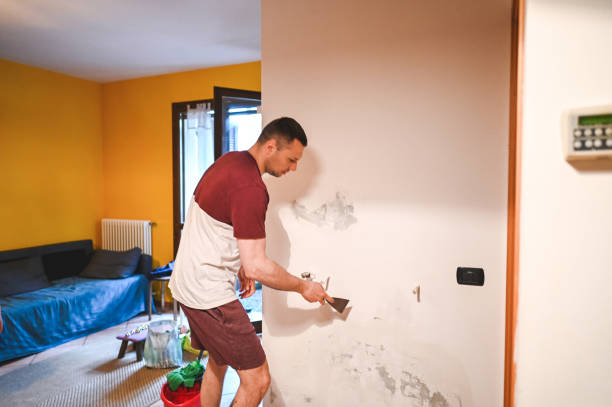 Best Office Mold Removal Services  in Kahaluu Keauhou, HI