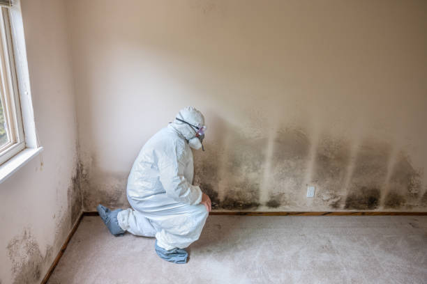 Best Emergency Mold Removal  in Kahaluu Keauhou, HI