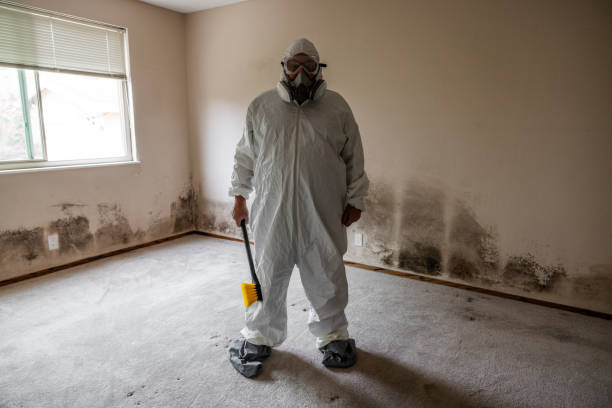 Best Attic Mold Removal  in Kahaluu Keauhou, HI